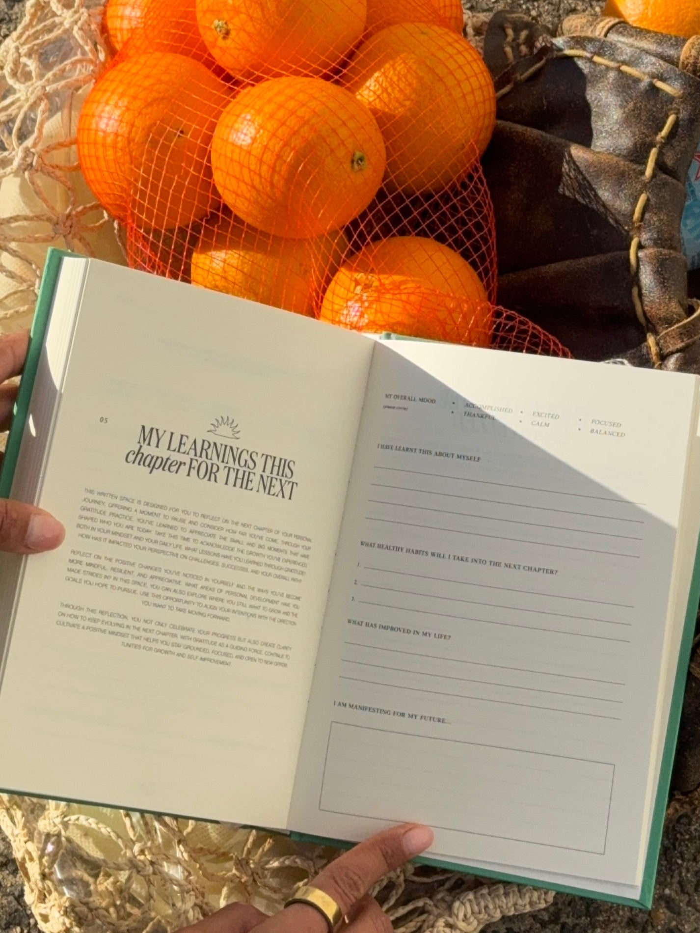 Matcha Green Gratitude Journal